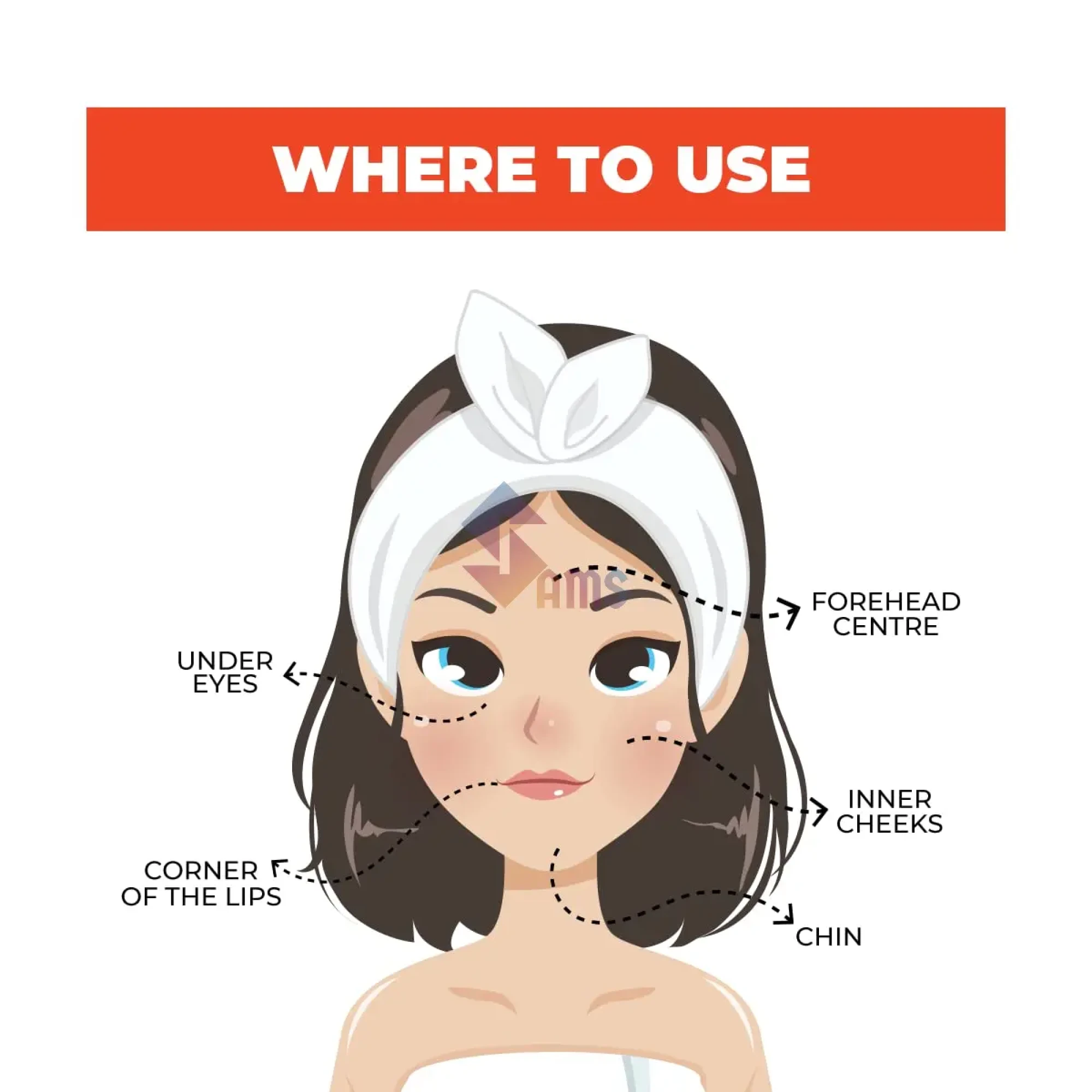 Insight Setting Powder LNP15 4.webp